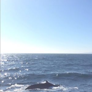 Meet your Posher, Marlene