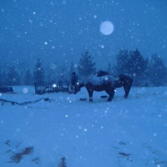 Meet your Posher, Missy