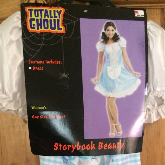 Dorothy from Wizard of Oz costume / ruby slippers