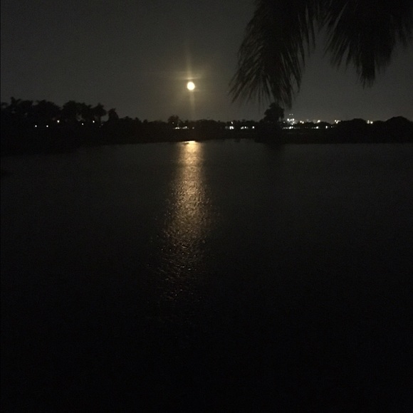 Meet your Posher, Rosa - Picture 1 of 1