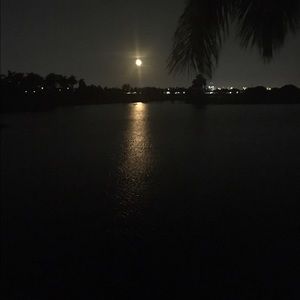 Meet your Posher, Rosa