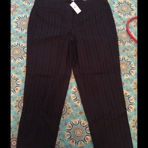 Loft Navy Eyelet cropped pant