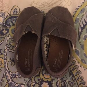 Infants Grey Toms