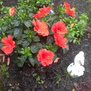 Meet your Posher, Shawn