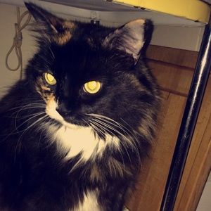Meet your Posher, Gabrielle