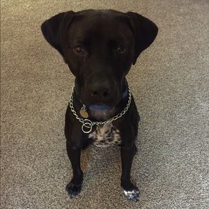 Meet your Posher, Jared