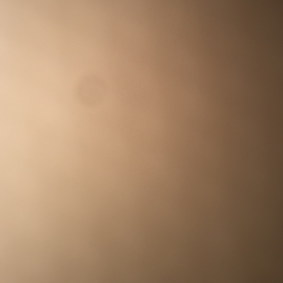 Meet your Posher, Ladonna