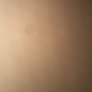 Meet your Posher, Ladonna