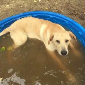 Meet your Posher, Evan