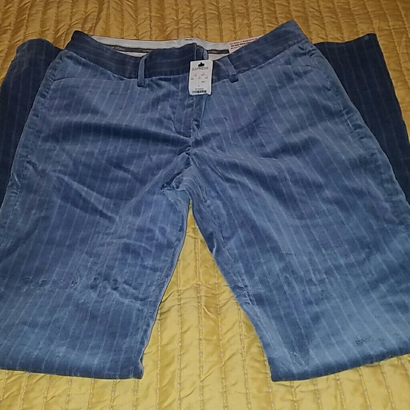 NWT Express faux velvet pinstriped pants