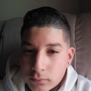 Meet your Posher, Leonardo