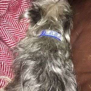 Meet your Posher, Ana