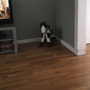 Meet your Posher, Deb