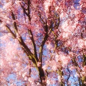 Meet your Posher, Steven