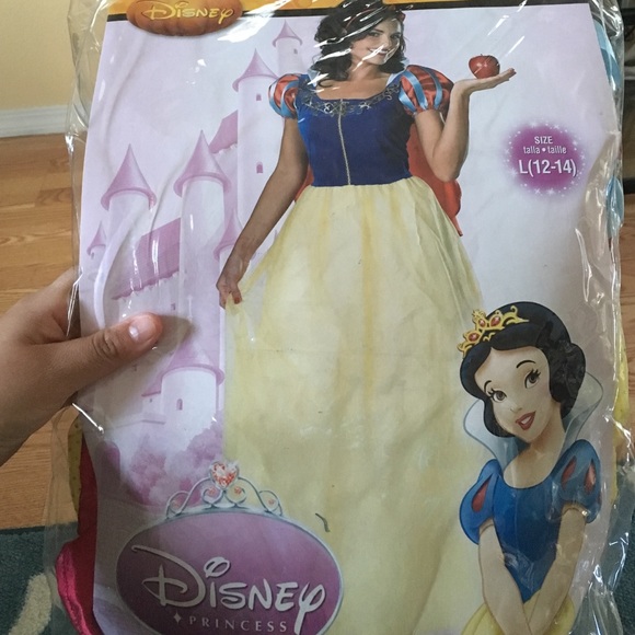 Disney Snow White full length gown costume