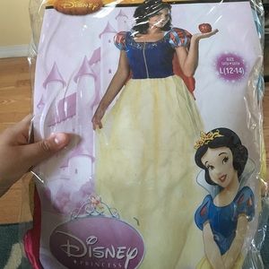 Disney Snow White full length gown costume