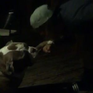 Meet your Posher, Alec