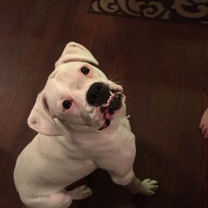 Meet your Posher, Tamara