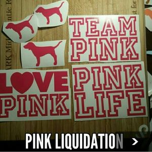(6) VS Pink inspired Pink Vinyl Decals