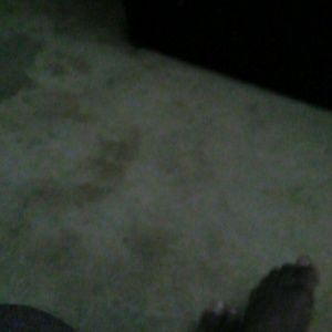 Meet your Posher, Quintin