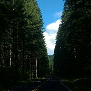 Meet your Posher, Hope