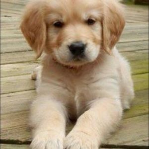 Meet your Posher, Kathleen