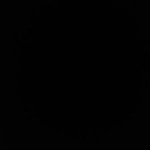 Meet your Posher, Risha