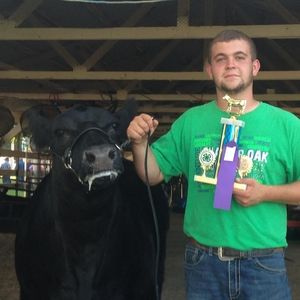 Meet your Posher, Tani