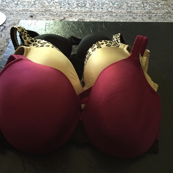 SOLD🌟🎉🎈🎊Lane Bryant Cacique Bras