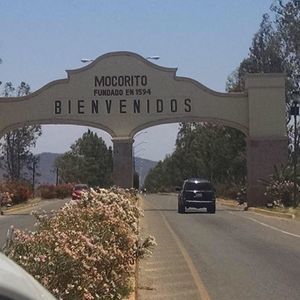 Meet your Posher, Javier