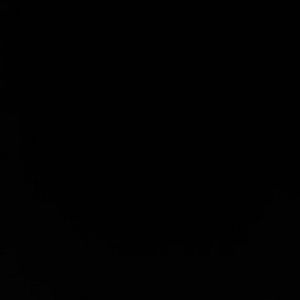 Meet your Posher, Sincere