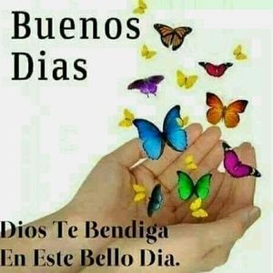 Meet your Posher, Marisol