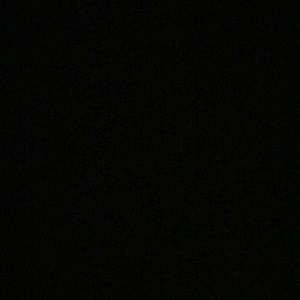 Meet your Posher, Orson