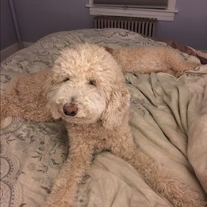 Meet your Posher, Erica