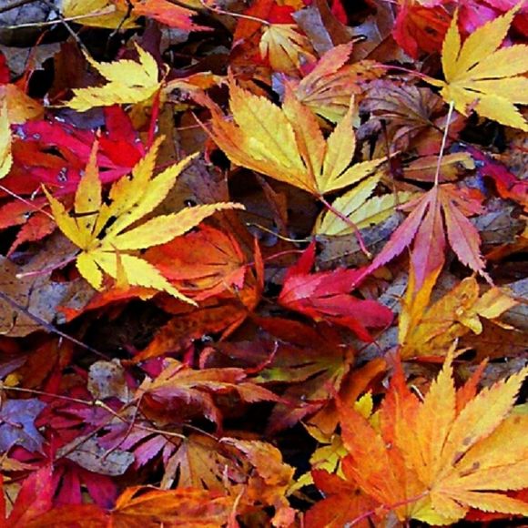 Meet your Posher, Billie - Picture 1 of 1