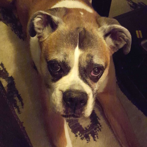 Meet your Posher, Jordan - Picture 1 of 1