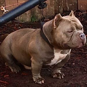 Meet your Posher, Jonathan