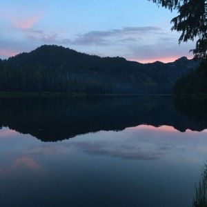 Meet your Posher, Bennett