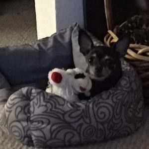 Meet your Posher, Verna