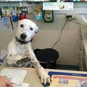 Meet your Posher, Rayauna