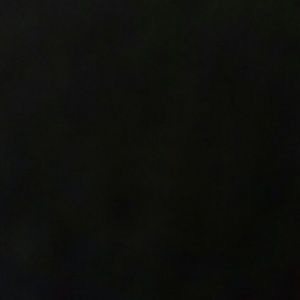 Meet your Posher, Sheena