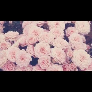 Meet your Posher, Janisa