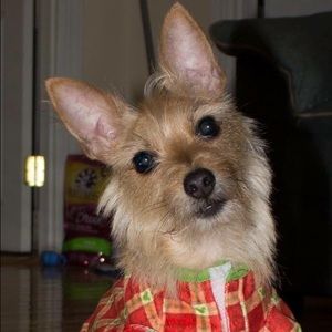 Meet your Posher, Rodney