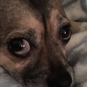 Meet your Posher, Stacie