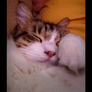 Meet your Posher, Susan