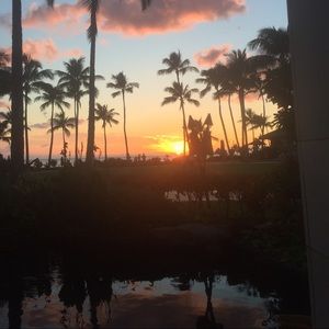 Meet your Posher, Roxanne