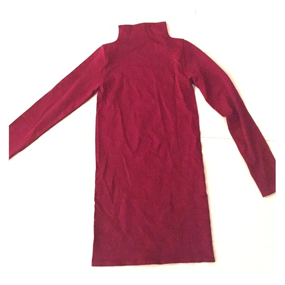 Burgundy turtle neck fitted dress