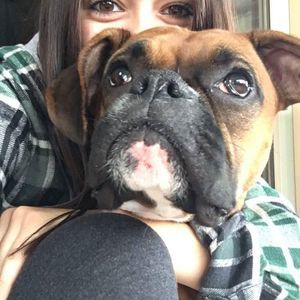 Meet your Posher, Ashley