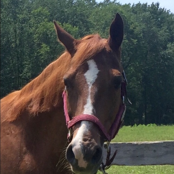 Meet your Posher, Karen