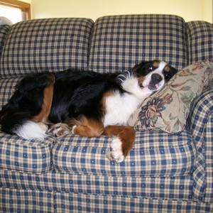 Meet your Posher, Holly